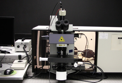 Confocal Raman Microscope, LabRAM HR800 UV, Horiba Jobin-Yvon