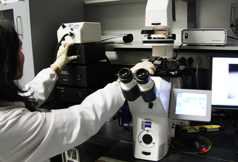 Inverted Fluorescence Microscope/ Coupling Stage, Zeiss Axiovert 200 M
